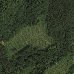 Satellite imagery of Frauenberg, AT