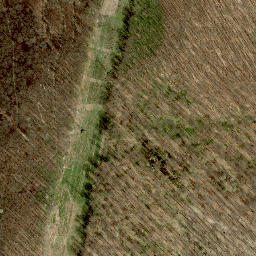 Satellite imagery of Greutberg, AT