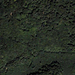 Satellite imagery of Peilerstein, AT