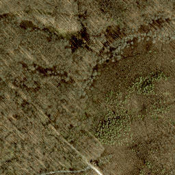 Satellite imagery of Buchberg, AT