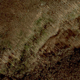 Satellite imagery of Jubiläumswarte, AT