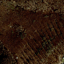 Satellite imagery of Jubiläumswarte, AT