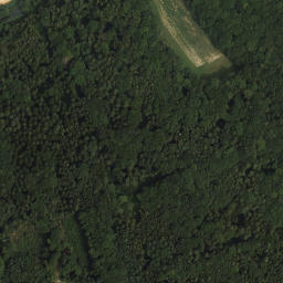 Satellite imagery of Schildberg, AT