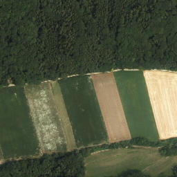 Satellite imagery of Schildberg, AT