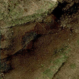 Satellite imagery of Buchberg, AT