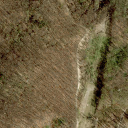 Satellite imagery of Hühnersteigberg, AT