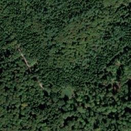 Satellite imagery of Tannenberg, DE