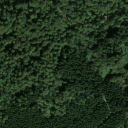 Satellite imagery of Dachsberg, DE