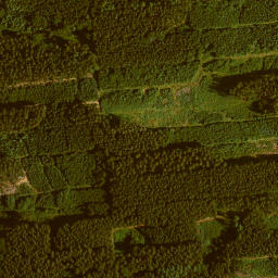 Satellite imagery of Ritzisrieder Berg, DE