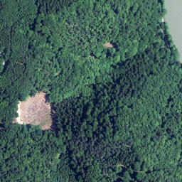 Satellite imagery of survey_point, AT