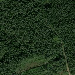 Satellite imagery of Hülsenwald, DE