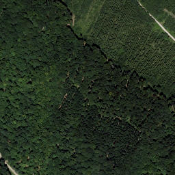 Satellite imagery of survey_point, AT