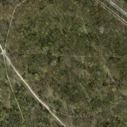 Satellite imagery of NBP, AT