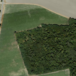 Satellite imagery of Schloss Niederweiden, AT