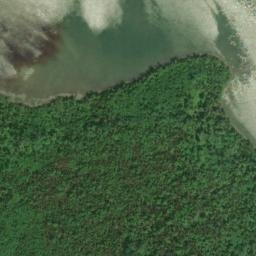 Satellite imagery of Wiley Point, CA