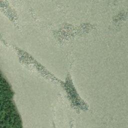 Satellite imagery of Wiley Point, CA