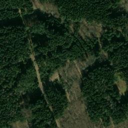 Satellite imagery of Dachsberg, DE