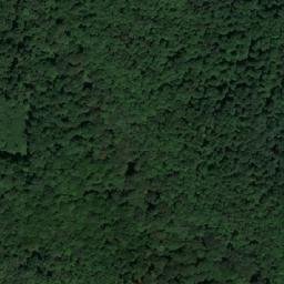 Satellite imagery of survey_point, SK