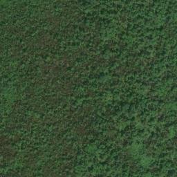 Satellite imagery of Wiley Point, CA