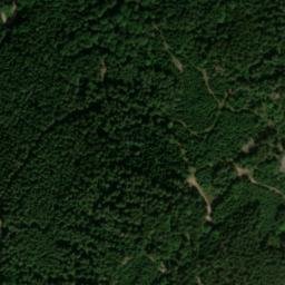 Satellite imagery of Hauenstein, DE