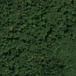 Satellite imagery of Tautschbuch, DE