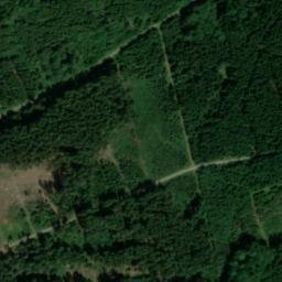Satellite imagery of Dachsberg, DE
