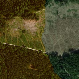 Satellite imagery of Eichberg, DE