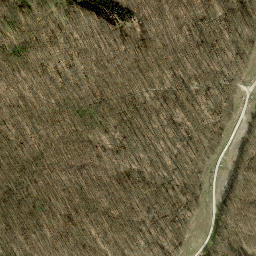 Satellite imagery of Bürgerspitalwald Weidlingau Grenzsteintyp 5, Stein 1, HU