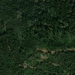 Satellite imagery of Hauenstein, DE