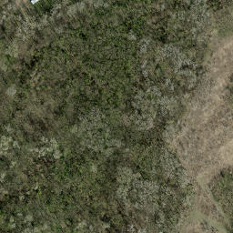 Satellite imagery of NEX, AT