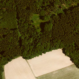 Satellite imagery of Kohlkopf, DE