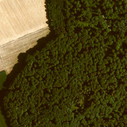 Satellite imagery of Eichberg, DE