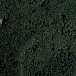 Satellite imagery of Frauenwart, AT