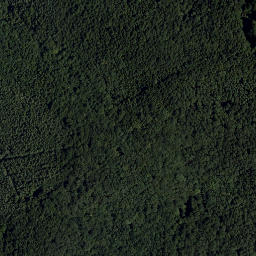 Satellite imagery of Feuersteinberg, AT