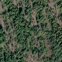 Satellite imagery of Long Point, US