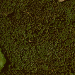 Satellite imagery of Kohlkopf, DE