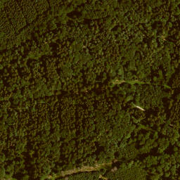 Satellite imagery of Kohlkopf, DE