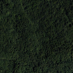 Satellite imagery of Frauenwart, AT