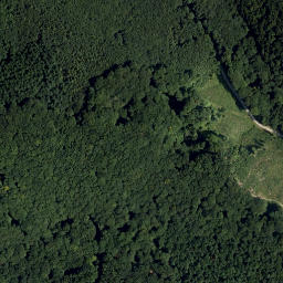 Satellite imagery of Frauenwart, AT