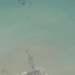 Satellite imagery of Tree Bluff, US