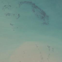 Satellite imagery of Tree Bluff, US
