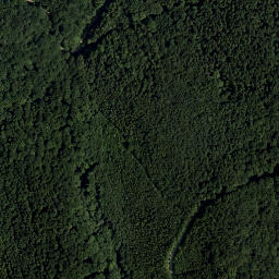 Satellite imagery of Laabersteigberg, AT