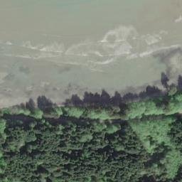 Satellite imagery of Tree Bluff, US