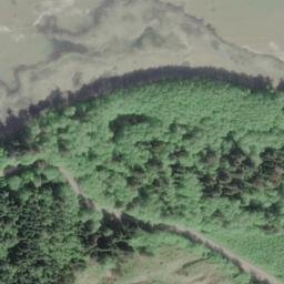 Satellite imagery of Tree Bluff, US