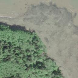 Satellite imagery of Tree Bluff, US
