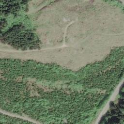 Satellite imagery of Tree Bluff, US