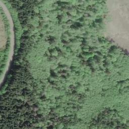 Satellite imagery of Tree Bluff, US