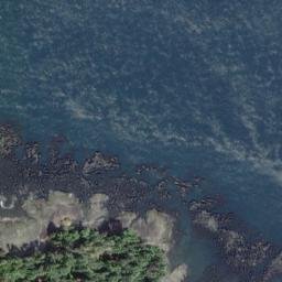Satellite imagery of Tongue Point, US