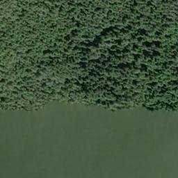 Satellite imagery of Cape Alava, US