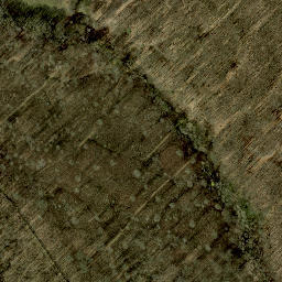 Satellite imagery of survey_point, AT